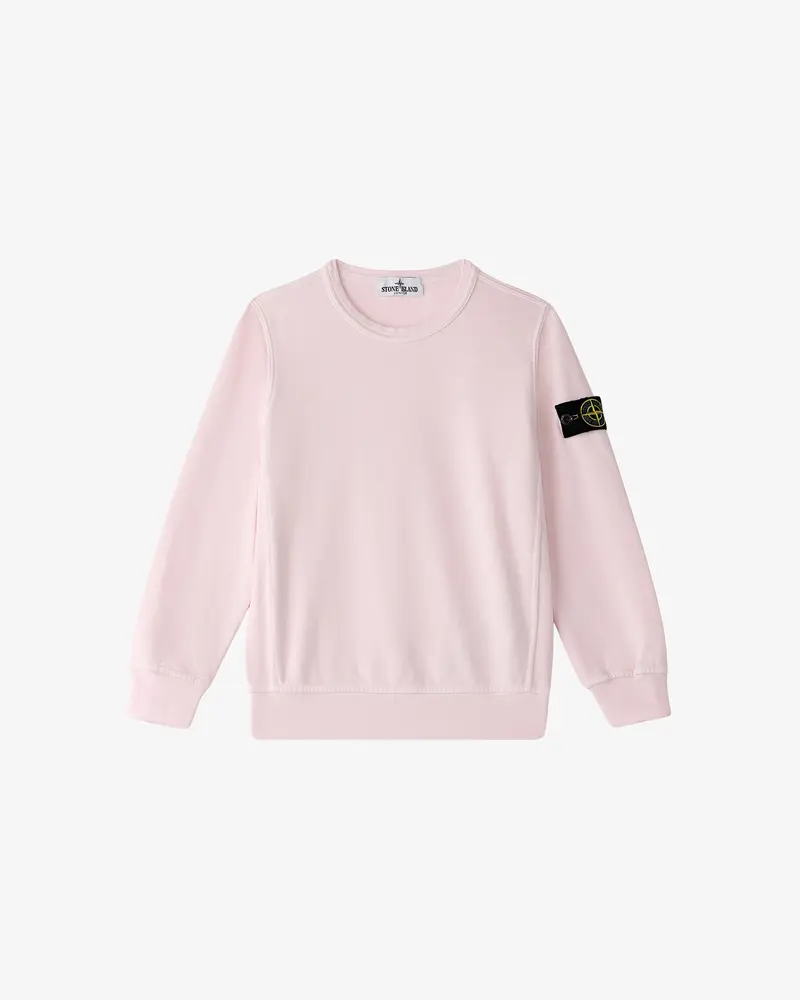 STONE ISLAND — Худи